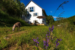Freistehendes Ferienhaus mit Kamin, Sauna, atemberaubenden Blick ins Tal, mehrere Terrassen, 1500qm Grundstück 1,6m hoch eingezäunt